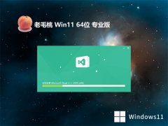 ëwin11ƶذ64λv2024.04