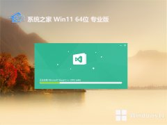 ϵͳ֮64λwin11Ƽv2025.03