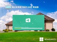 ʼǱwin11⼤64λͳרעv2025.03