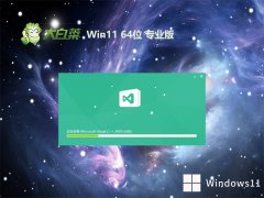 ײ⼤win11 64λµԸЧv2024.05